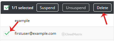 The DirectAdmin FTP Accounts list with an additional FTP user selected for deletion