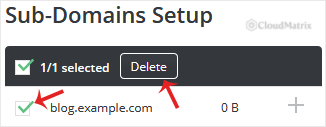 The list of subdomains in DirectAdmin Subdomain Management with the selection checkbox beside a subdomain name