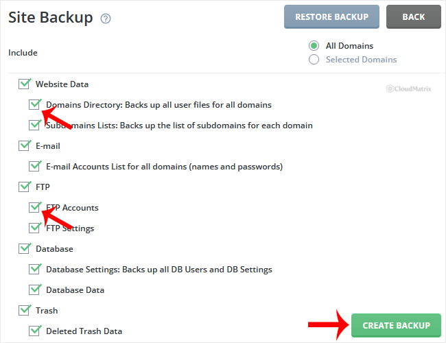 The Site Backup checkbox list in DirectAdmin showing website data, e-mail, FTP and database options selected for inclusion in the backup