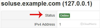 The SolusVM VPS details panel showing the Status field under the server hostname, next to bandwidth and other resource summary information