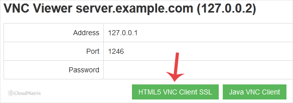 The SolusVM VNC page offering the HTML5 VNC Client SSL button and the Java VNC Client button